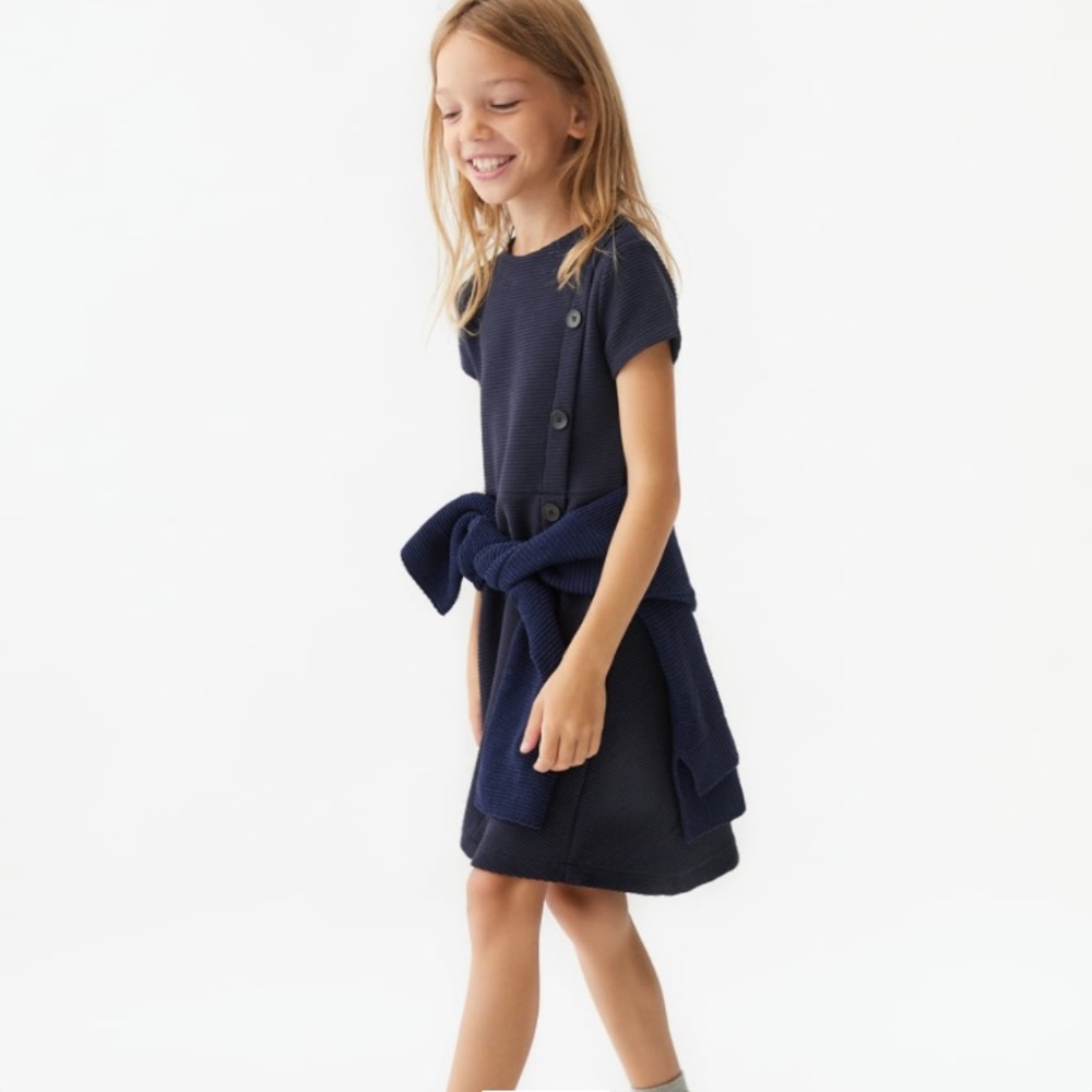 Zara Navy Blue Dress with buttons